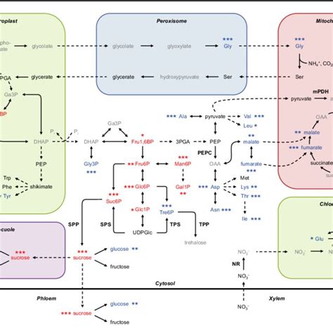 Afbeeldingsresultaten voor TPS Expression Encoder 4 Error Message