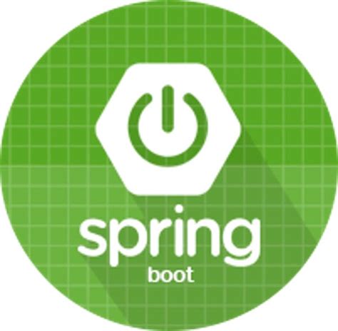 Afbeeldingsresultaten voor Spring Boot Transperant Icon