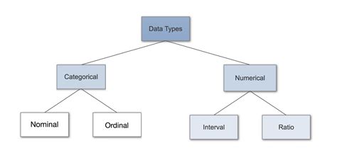 Toradh íomhá ar Data Type Tree