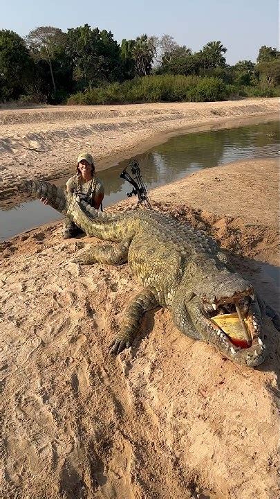 Source Code Lab に対する画像結果