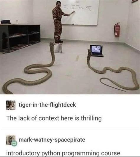 Toradh íomhá ar Introductory Python Meme
