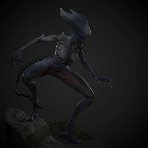 Image result for Xenomorph 3D Art Reference