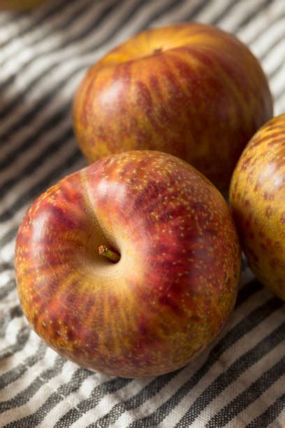 Image result for Red Plumcot