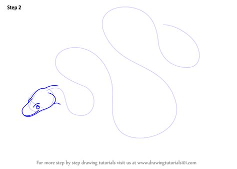 Image result for Python Animal Drawing