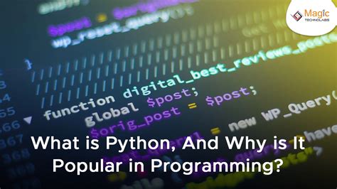 Image result for Why Python Is Popular Then Other Programming Languages