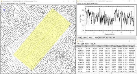 Image result for ImageJ Plot Profile Stack