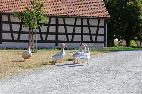 Image result for Walking Animation Frames Roblox