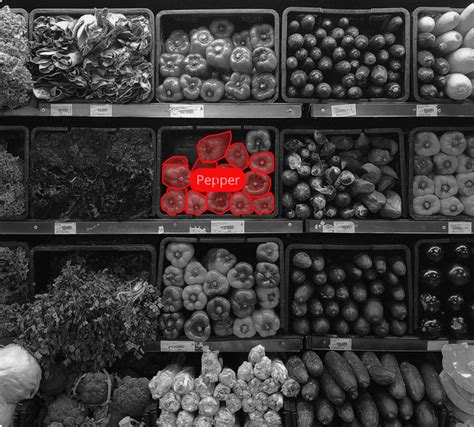 Afbeeldingsresultaten voor Image Annotation ImageJ