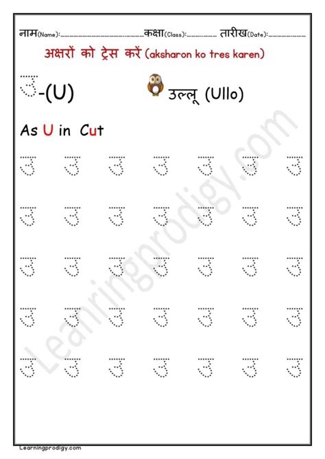 Toradh íomhá ar How Can We Lean to in Hindi Java Language