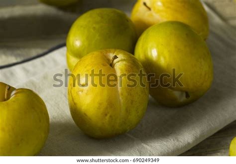 Image result for Red Plumcot