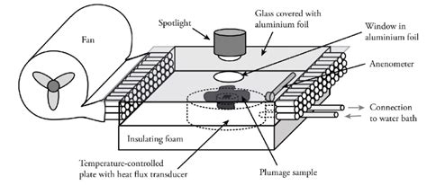 Image result for WindTunnel Support Mechanism