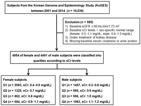 Afbeeldingsresultaten voor Normal Creatinine Levels Chart