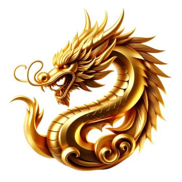 Toradh íomhá ar Embroidaary Transparent