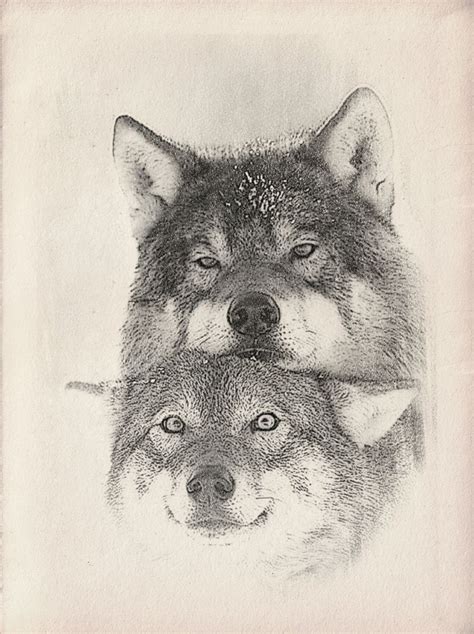 Drawing of Wolves に対する画像結果