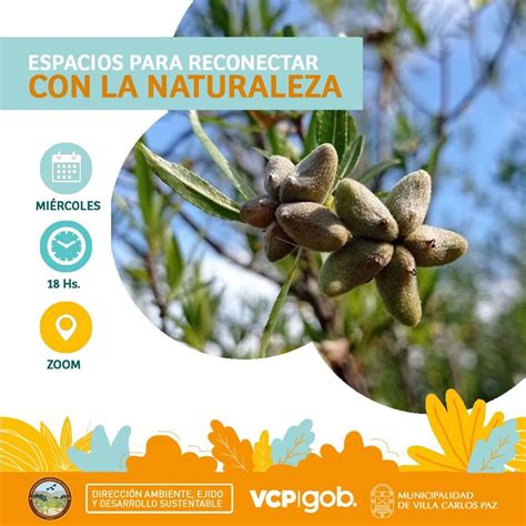 Image result for Reconectar Con Naturaleza