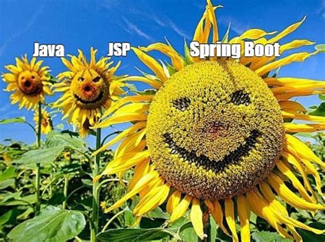 Shortest Feature in Java Spring Boot Meme に対する画像結果