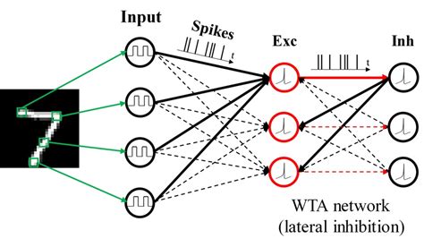 Image result for Sparse Coding in Spiking Neural Networks