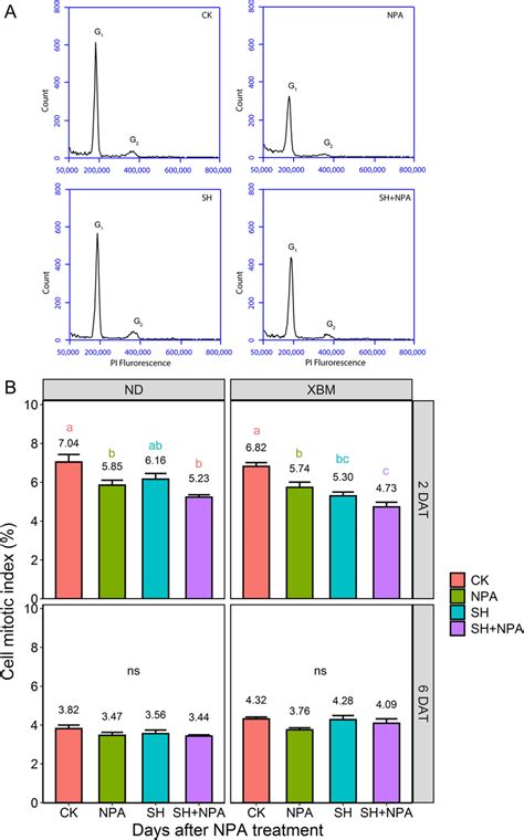 Image result for Flow Cytometry Histogram