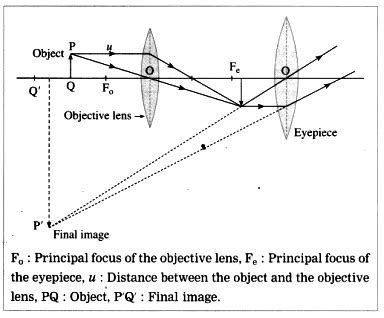 Image result for Net Diagram of Compound Microscope