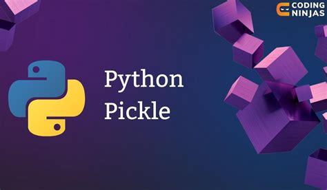 Image result for Pickle SVG Python