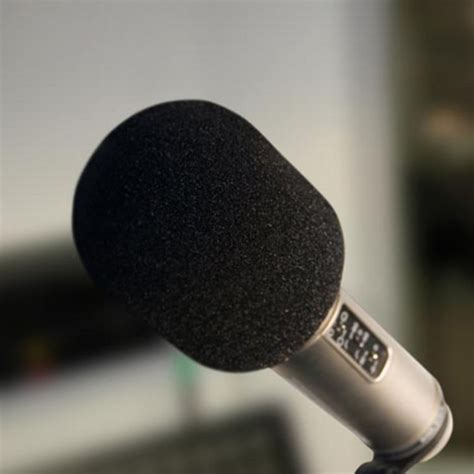 Rode Pop Filter に対する画像結果