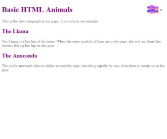 Toradh íomhá ar HTML Project MDN