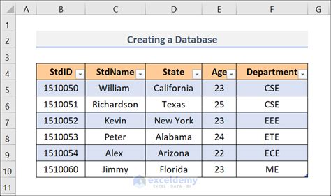 Image result for How to Use Excel as a Database