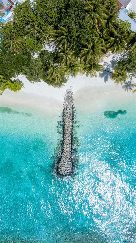 Image result for Bali Sea