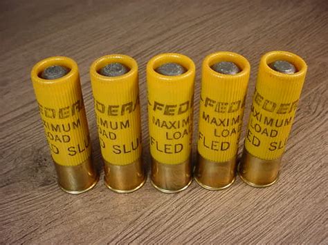 Image result for Advanced 20Ga Slug Reloading