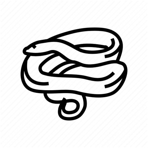 Afbeeldingsresultaten voor Anaconda Python Icon Feather