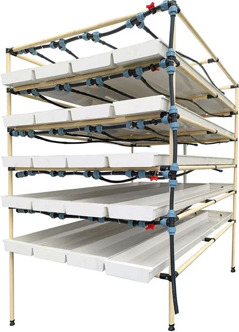 Hydroponic Fodder Grass Seeds For Cattle Animals Livestock Fodder