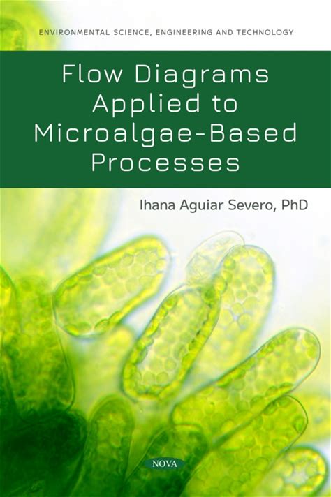 Flow Diagrams Applied To Microalgae-Based Processes (Ebook)