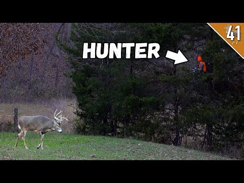 Our Best Hunts on 13 Acres!!! - (Deer Hunting a SMALL Property)