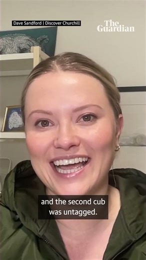 Female polar bear adopts cub in rare case