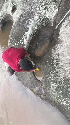 Marl Hole Discovery with Abundant Gold Dust