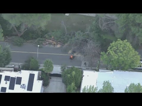 Winds topple trees ahead of next round of rain | Monday 10 p.m. team coverage