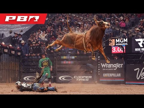 THEY CAN FLY?! | Big Time Bull Power
