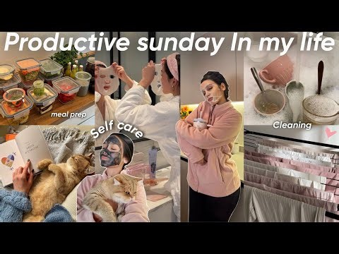 Productive sunday in my life living alone🫐🌦️|كيفاش كندوز نهار الأحد و انا ساكنة بوحدي 🥦🏠🧼