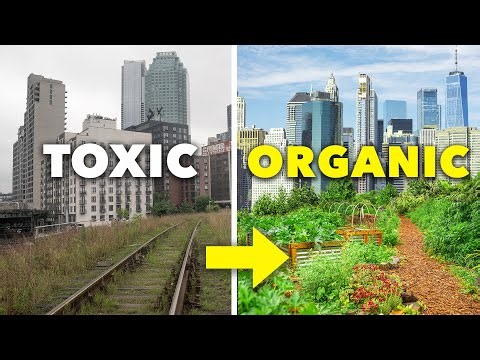 Transform Wasteland Into a Lush Garden: Here's How