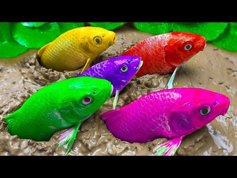 دعاء خاشع في اليوم التاسع من شهر رمضان المبارك دعاء خاشغ تهتز له القلوب - Doa Ramadan - علاء عقل