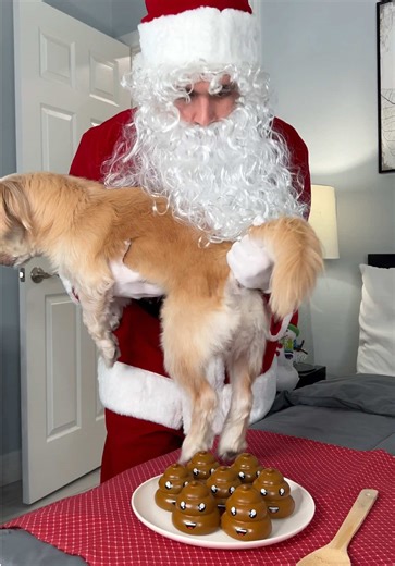 Santa Makes Dog Poop on the Plate