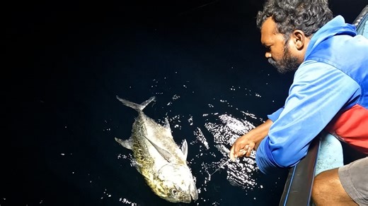 We Caught Plenty of Giant Trevally Fish in the Sea🐟🎣 | Neerulagam
