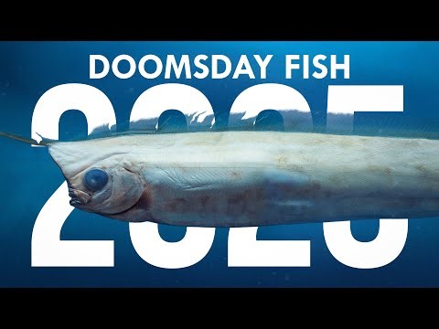 Everything We Learned About Animals and Life on Earth This Year