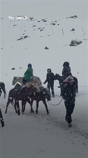 Heavy snow blankets Kashmir