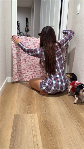 Christmas photoshoot with Two Weiners 🤣 #daschund #Weinerdogs #funnypets | Alyssa Brook Lee