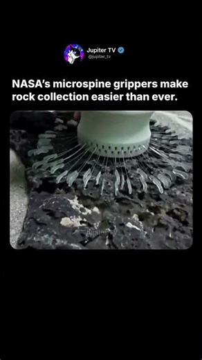 NASA’s Microspine Grippers 🪨