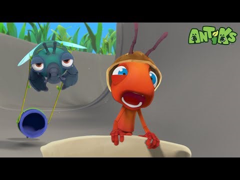 Ready, Set, Race! Joey & Boo’s Wild Chariot Ride! | Antiks | Kids Cartoons | Party Playtime!