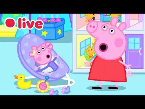 🔴 LIVE: Cutest Baby Evie Episodes 🍼 Peppa Pig Best Big Sister Moments✨Kids Cartoons 🐷