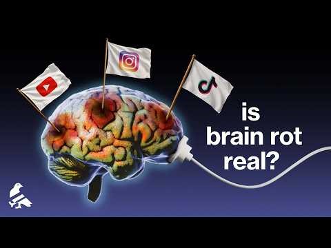 What the actual science says about "brain rot"