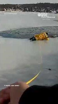 New Jersey officer rescues dog that fell into icy lake